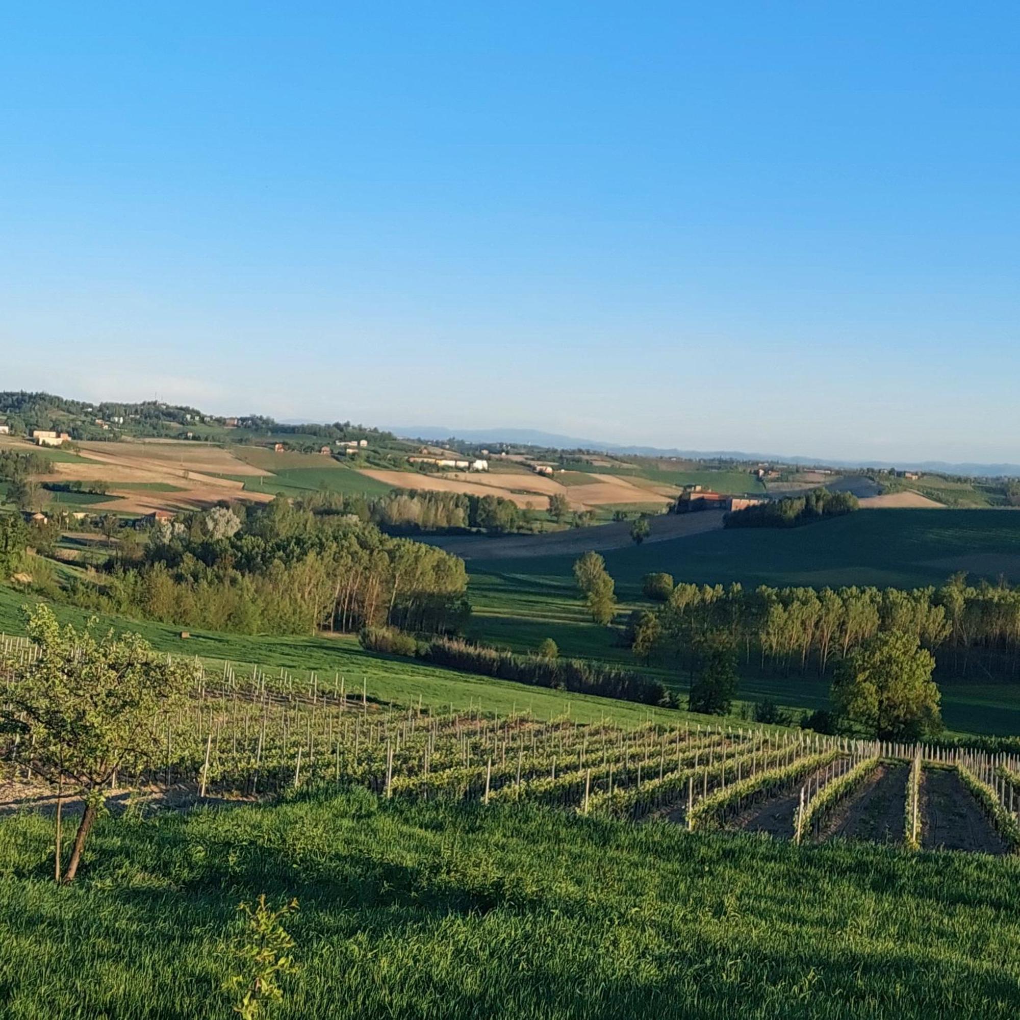 Bed and Breakfast Casa Rovelli Alfiano Natta Exterior foto