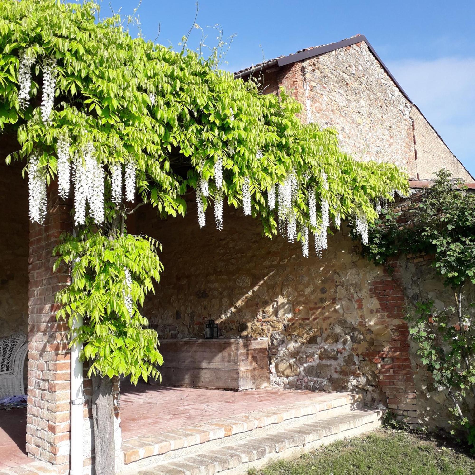 Bed and Breakfast Casa Rovelli Alfiano Natta Exterior foto