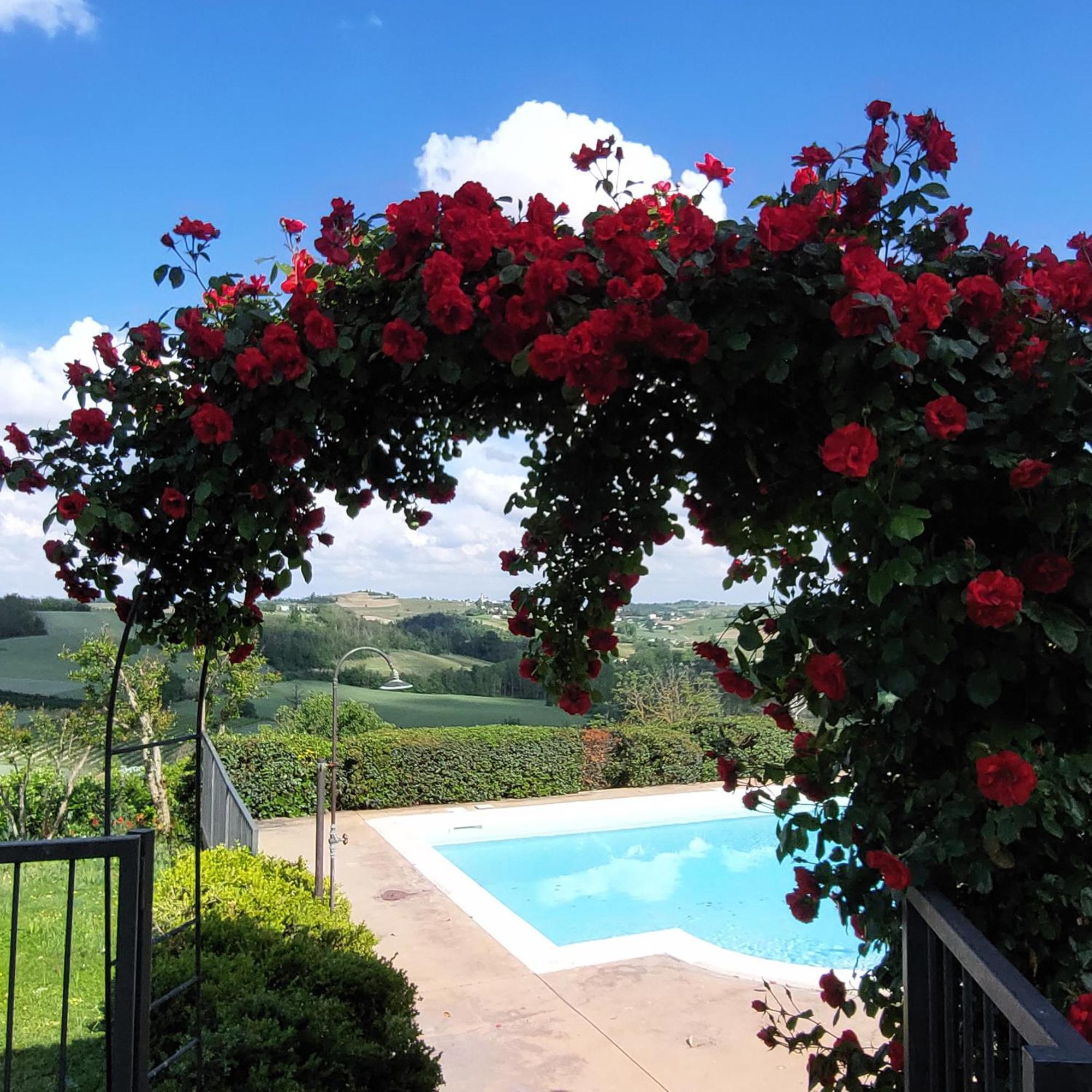 Bed and Breakfast Casa Rovelli Alfiano Natta Exterior foto